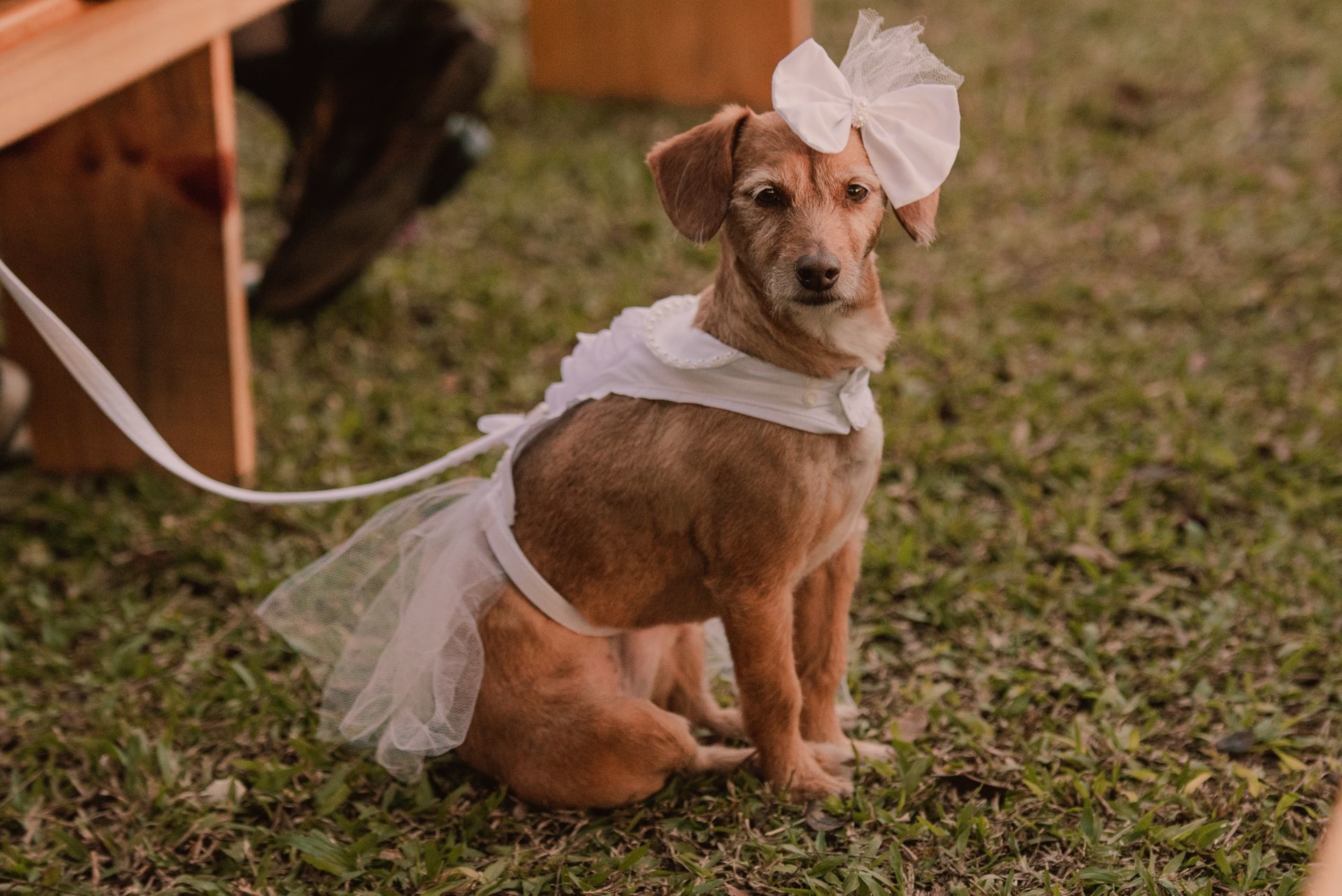 Foto Casamento em Chapecó/SC | Fabioano & Yalê  - Imagem 25