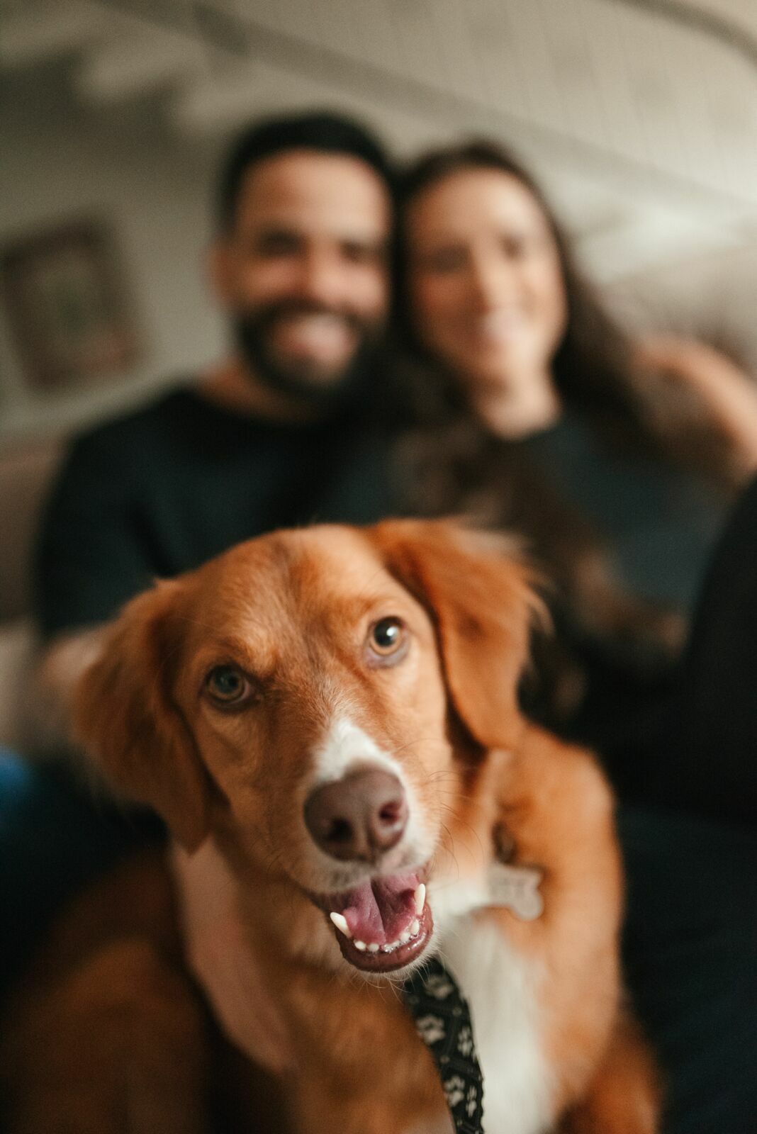 Foto Ensaio Pré Wedding na em Chapecó/SC - Mari & Osiel  - Imagem 6