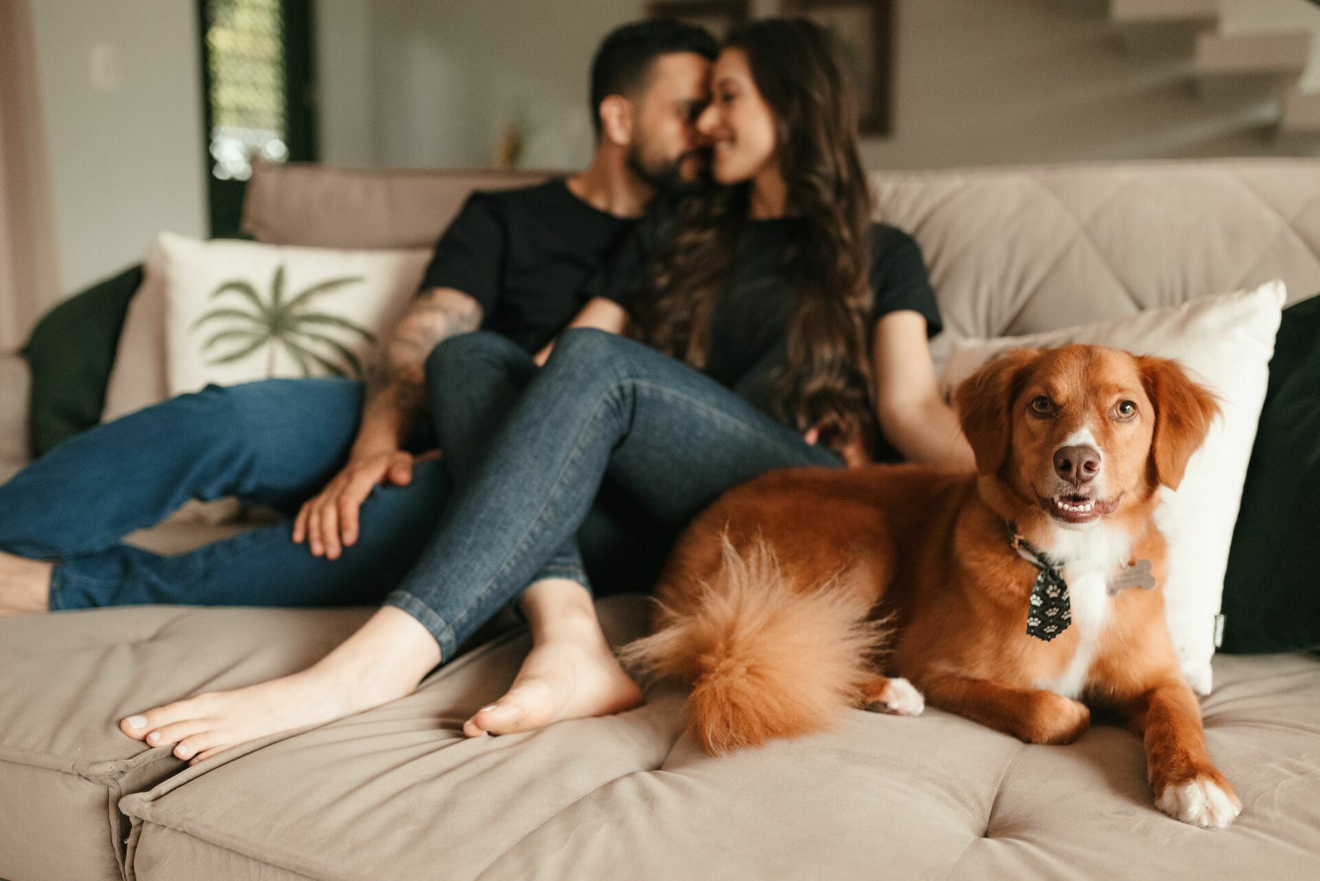 Foto Ensaio Pré Wedding na em Chapecó/SC - Mari & Osiel  - Imagem 1