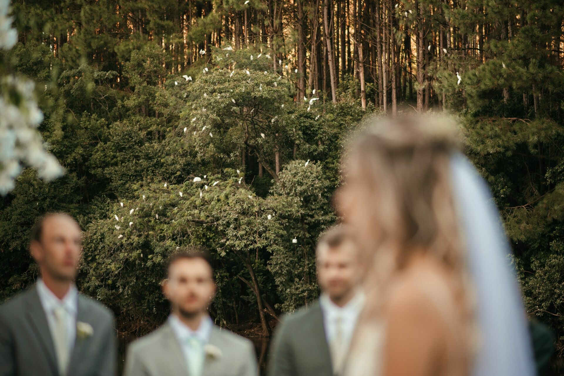 Foto Casamento ao ar livre em Piratuba/SC | Alana | Javier  - Imagem 61