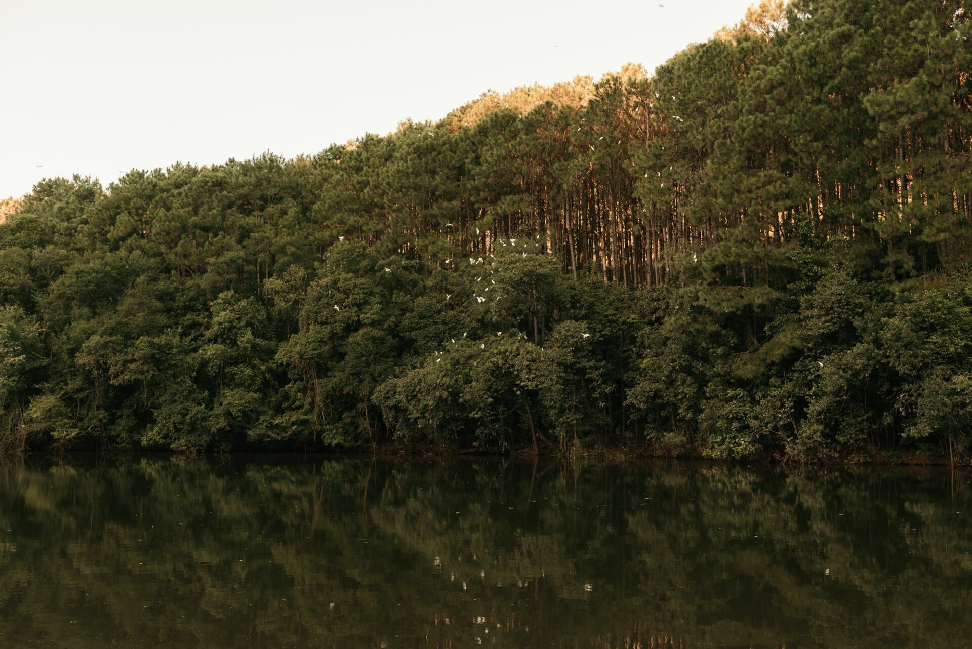 Foto Casamento ao ar livre em Piratuba/SC | Alana | Javier  - Imagem 60