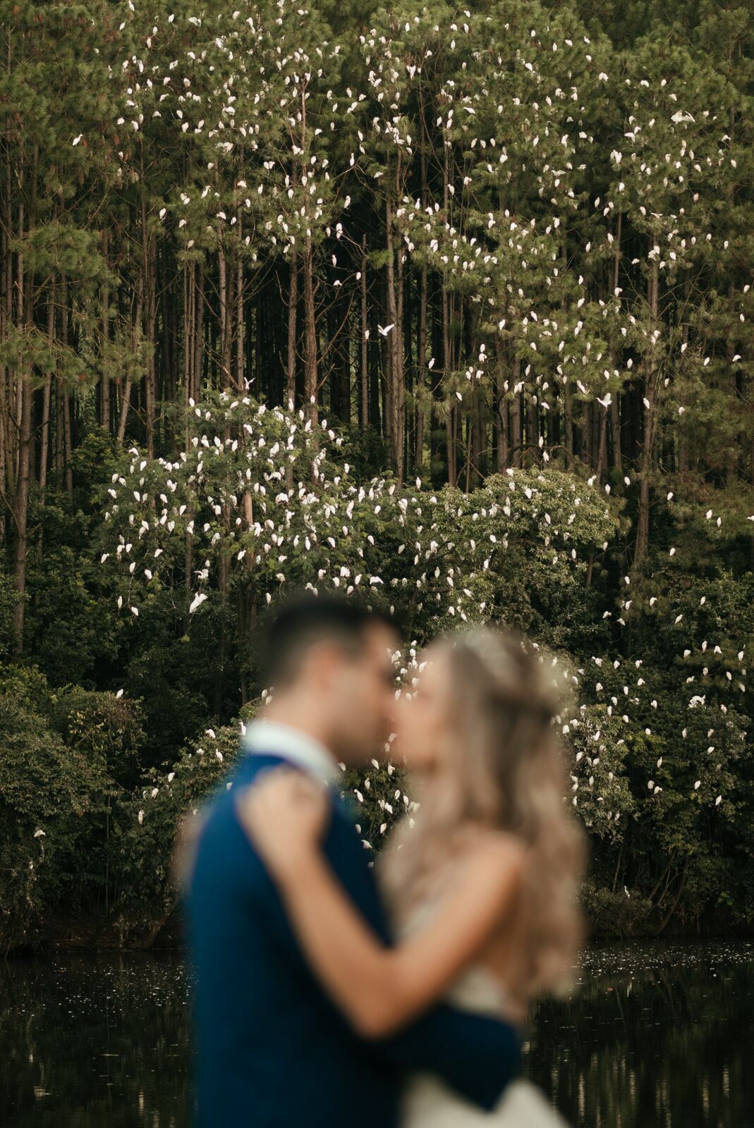 Foto Casamento ao ar livre em Piratuba/SC | Alana | Javier  - Imagem 100