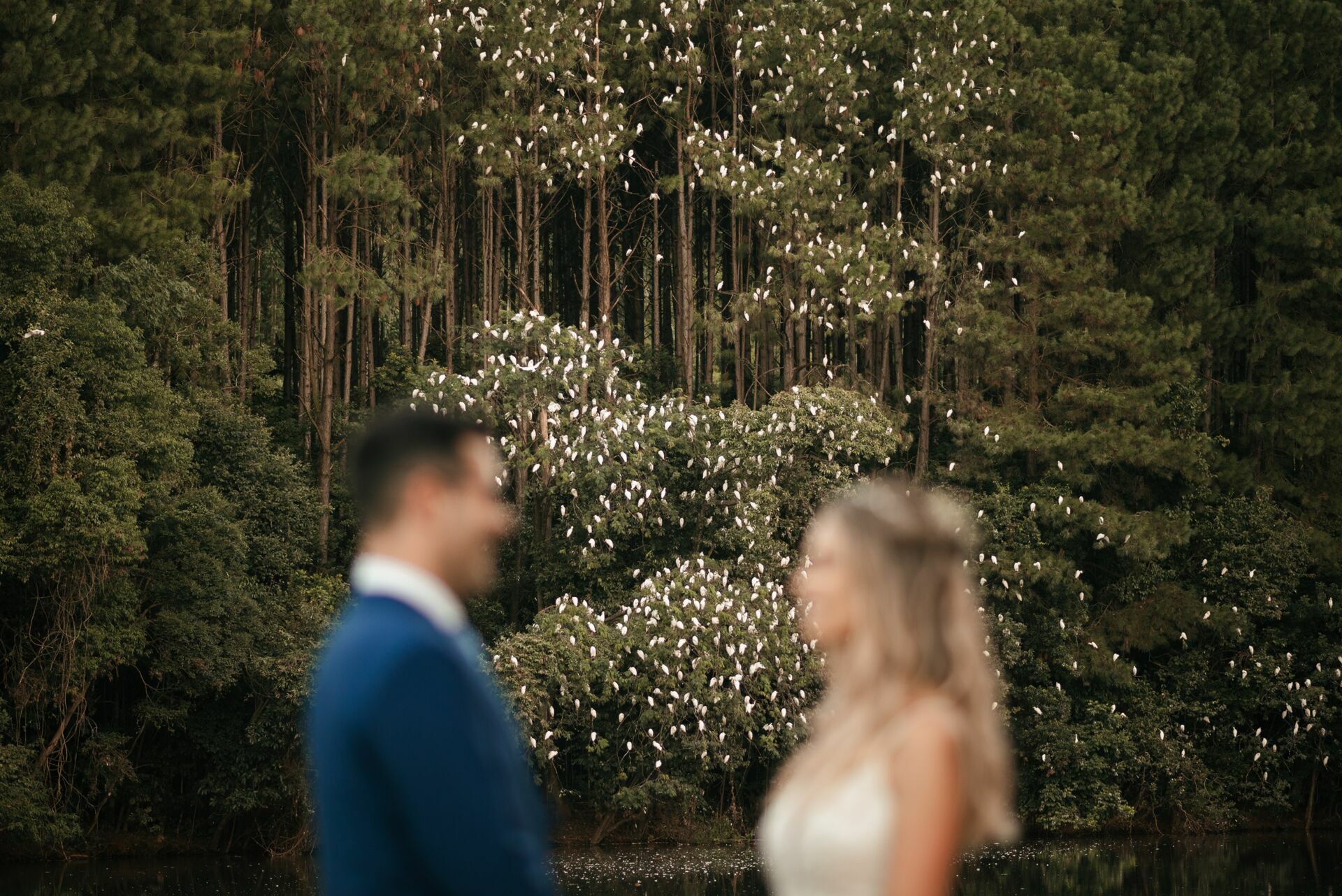 Foto Casamento ao ar livre em Piratuba/SC | Alana | Javier  - Imagem 96