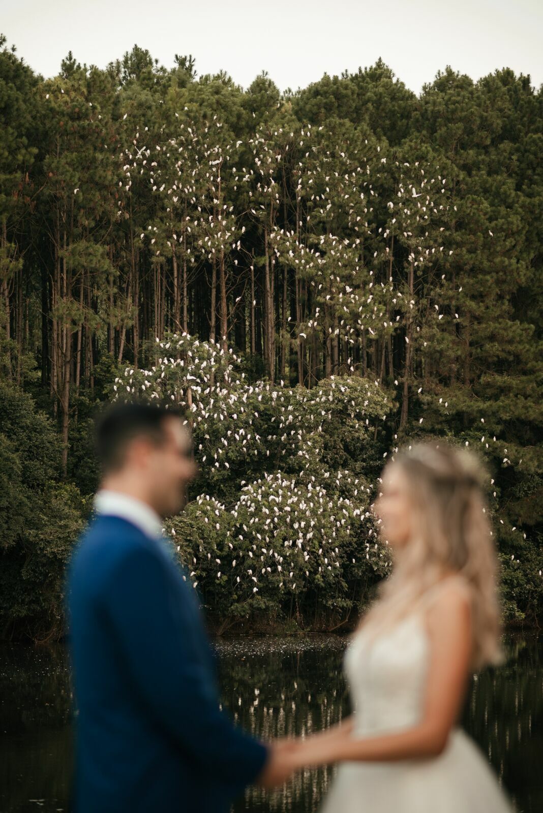 Foto Casamento ao ar livre em Piratuba/SC | Alana | Javier  - Imagem 97