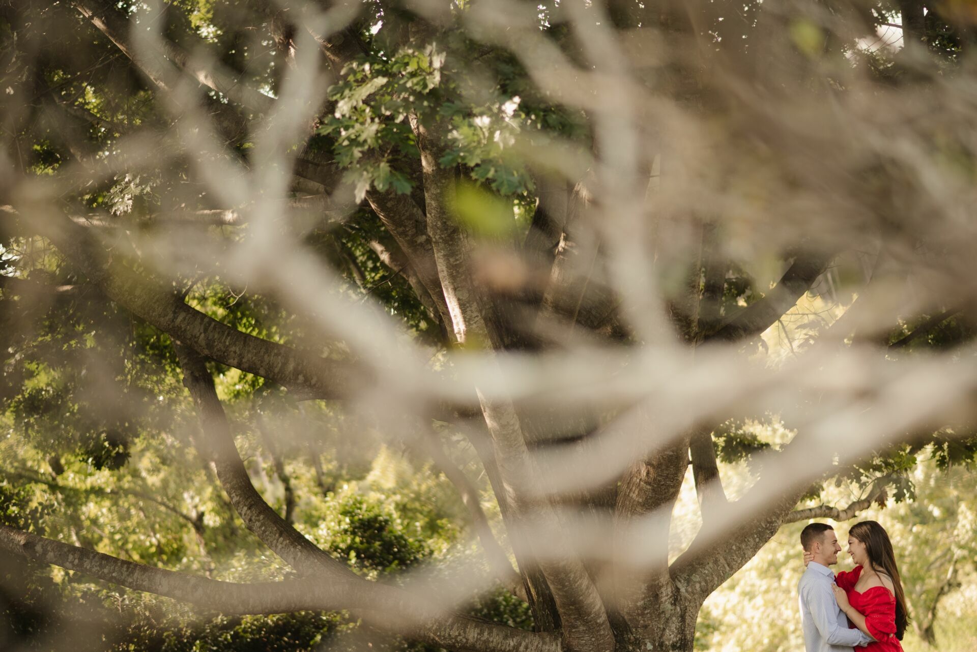 Foto Ensaio Pré Wedding na Casa Civezzano | Clara & Jean  - Imagem 4